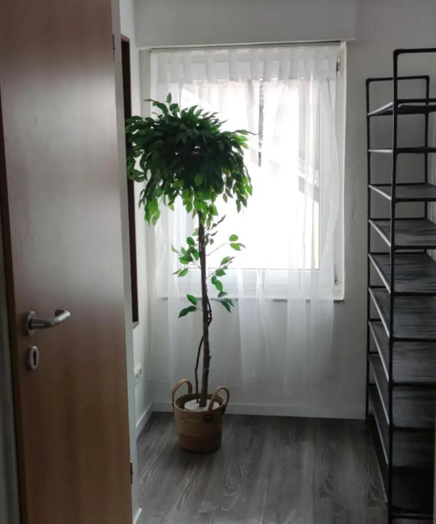 Appartement Gemuetliche 5Pers Ferienwohnung 